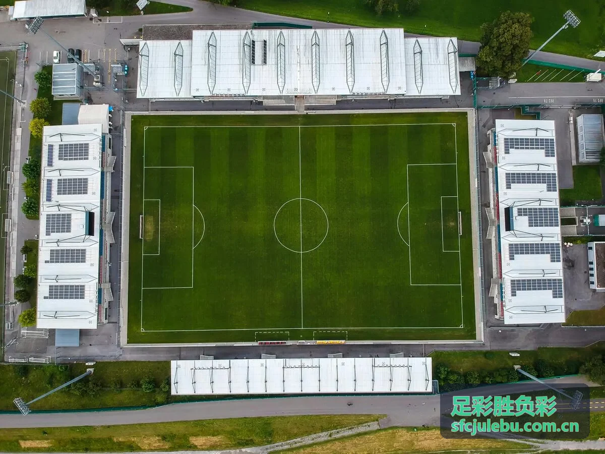足彩胜负彩入门指南